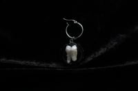 Image 6 of Dead Good real human teeth glass and steel earrings 