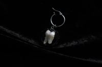 Image 7 of Dead Good real human teeth glass and steel earrings 