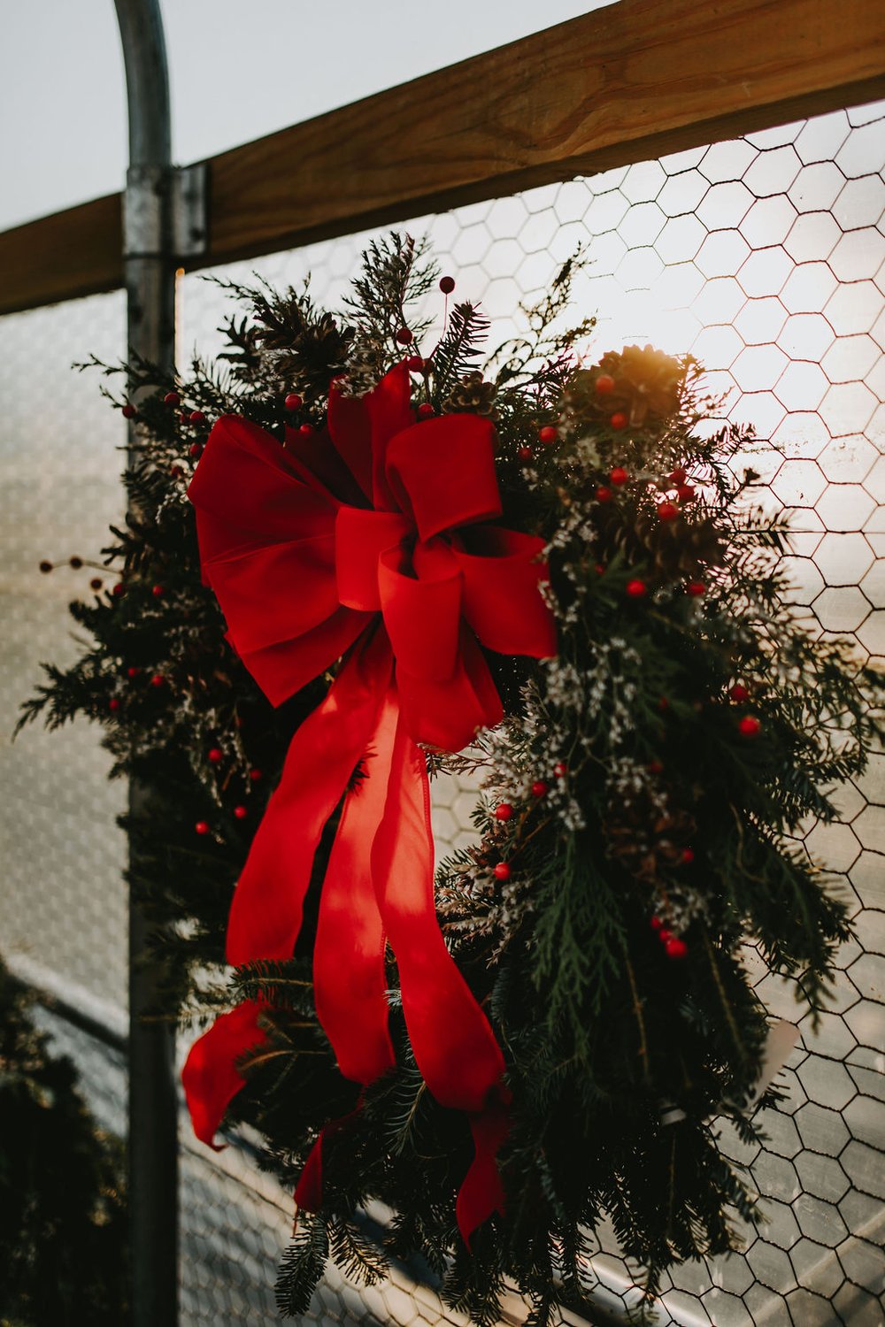 Image of Holiday Wreath TAKE-HOME KIT