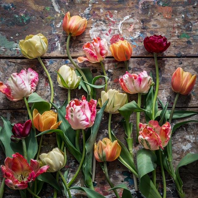 Image of 2026 Year of Flowers Subscription