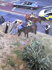 Image 6 of Turbo Island 2026 Calendar