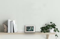 Image 4 of Tempest 8 postcard size.