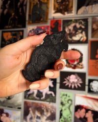 Image 3 of Possum Embroidered Patch