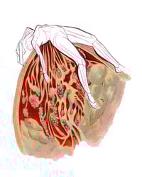 Image 1 of White Flag - Limited edition print