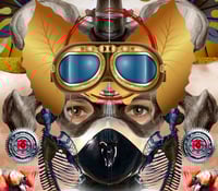 Image 5 of 'Ruby Takes Off' 