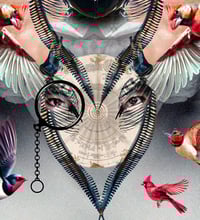 Image 6 of 'Ruby Takes Off' 