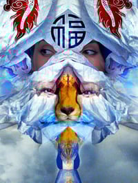 Image 5 of 'Peeking at Dragons' 