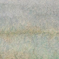 Image 4 of Interposed 