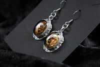 Image 1 of Dead Good fish head earrings 