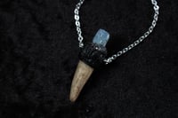 Image 5 of Dead Good raw aquamarine crystal and antler necklace 
