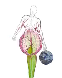 Image 1 of Temperate Supposedly - Limited edition print