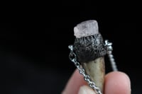 Image 6 of Dead Good rose quartz crystal and antler necklace 