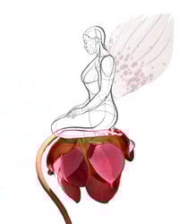 Image 1 of Waiting For Bloom - Limited edition print