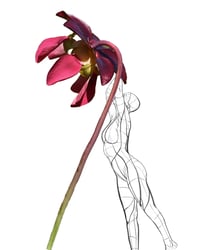 Image 1 of Hold Up - Limited edition print