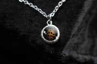 Image 1 of Dead Good lady bird pendant 