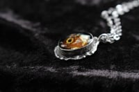 Image 8 of dead good fish head necklace 