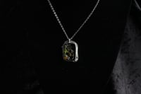 Image 10 of Dead good snail mushroom and fly wing necklace 