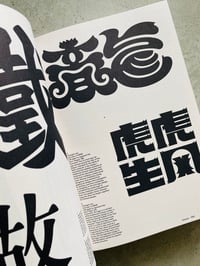 Image 3 of Graphic Languages by Oliver Häusle