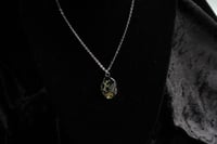 Image 2 of Dead good woodlouse nature scene necklace 