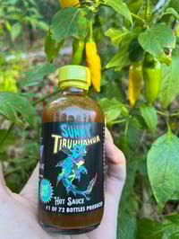 Image 4 of Sunny Tibuhuahua + Hot Sauce Bundle