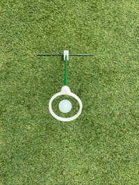 Image 1 of SwingRing