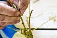Image 2 of Christmas Willow Star Workshop Saturday 6th December 
