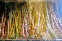 Image 3 of Christmas Willow Star Workshop Saturday 6th December 