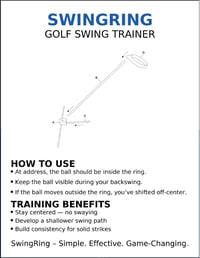 Image 4 of SwingRing