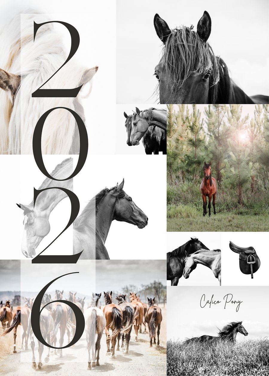 Image of 2026 Calico Pony Calendar Pre-Order