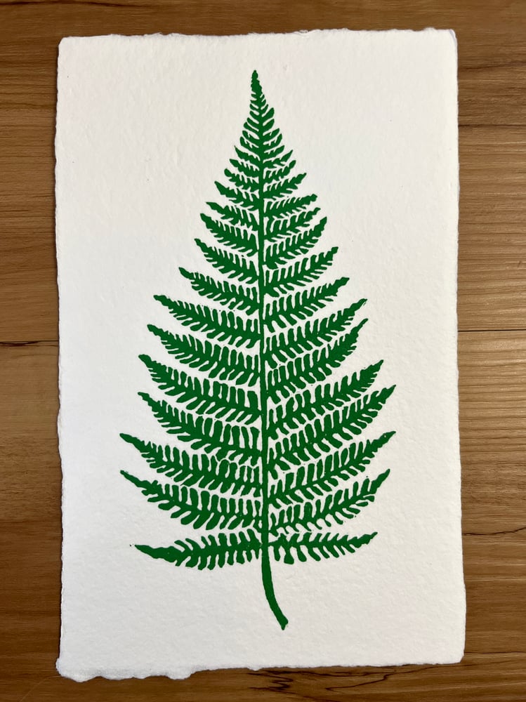 Image of Fern Song (white paper)