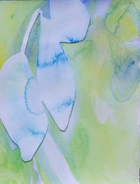 Image 1 of Color Study 23