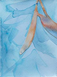 Image 1 of Color Study 24