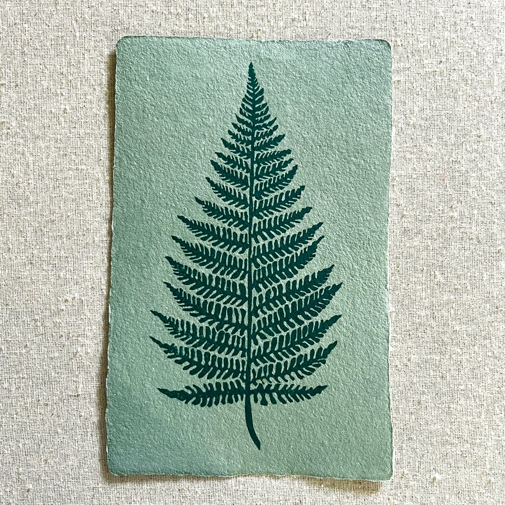 Image of Fern Song (green paper)