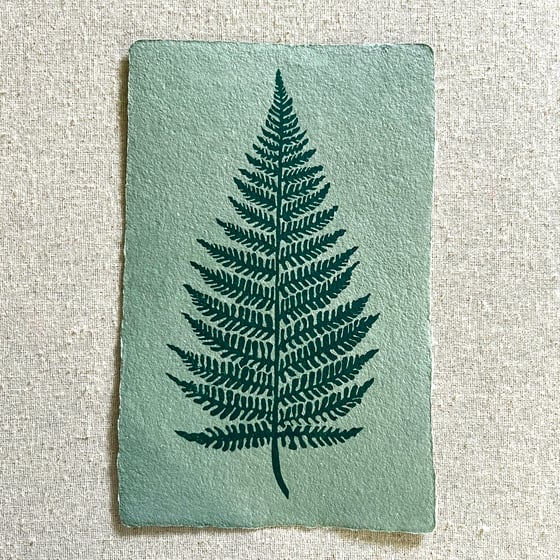 Image of Fern Song (green paper)