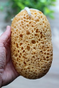 Image 2 of Soap Infused Sponges