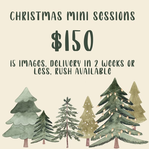 Image of Christmas Minis Nov 30