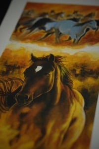 Image 2 of Summertime Run