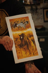 Image 3 of Summertime Run