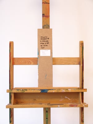 Image of Security Camera 46