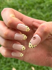 Image 1 of Wilde Set | Sabrina