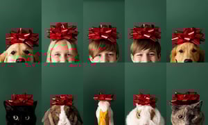 Image of MOD Holiday Mini Sessions- Sunday, November 16 2025
