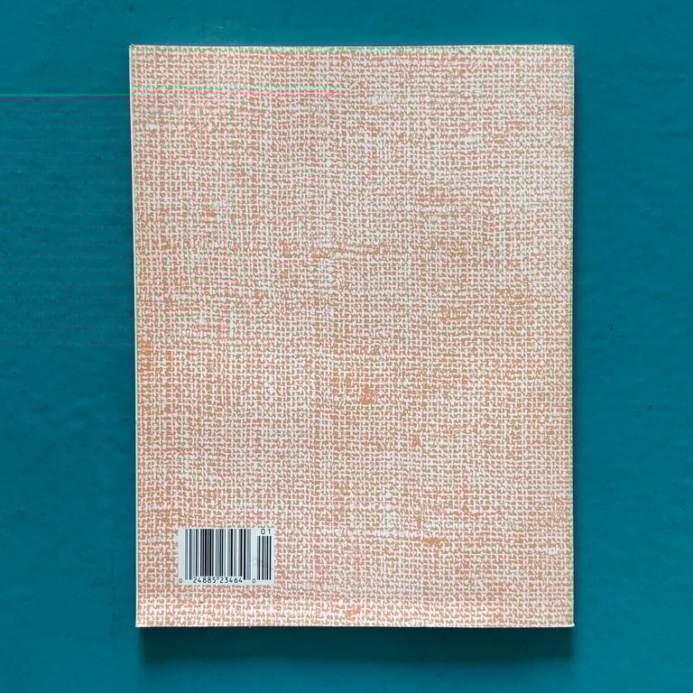 Blueberry 3: Angel Face by Jean-Michel Charlier & Moebius Image 3