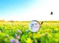 Image 2 of Herbal Vapours