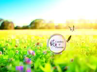 Image 2 of Comfrey & Plantain Balm