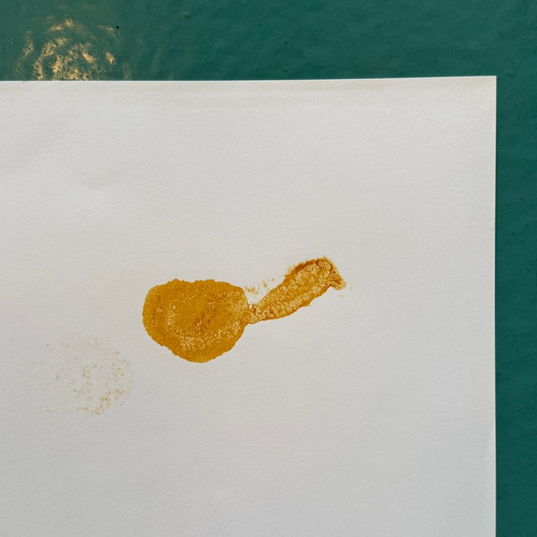 World of Edena: Sra by Moebius - W/PRINT - FRENCH Image 5