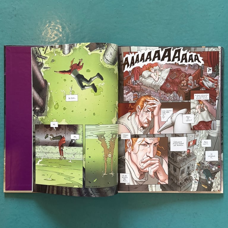 After the Incal Book 1: Le Nouveau Reve (The New Dream) by Alejandro Jodorowsky & Moebius - FRENCH Image 2