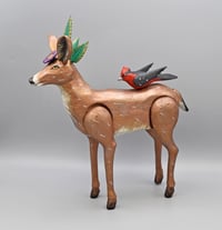 Image 5 of Doe and Flycatcher