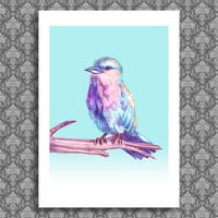Poster Print - Birdie