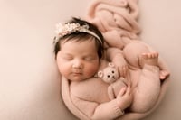 Image 1 of BLUSH COLLECTION | PREORDER
