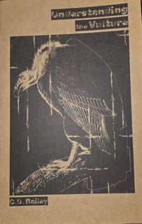 Understanding the Vulture by C.D. Bailey